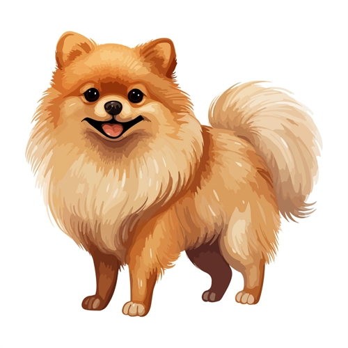 Dog Lovers Theme Pomeranian Dog Transparent Sticker